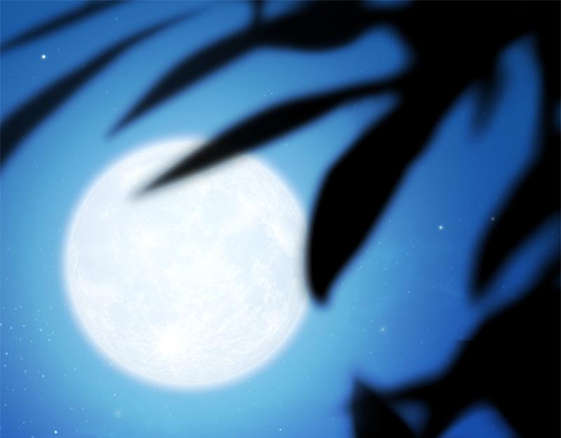 第50话 神的旨意0