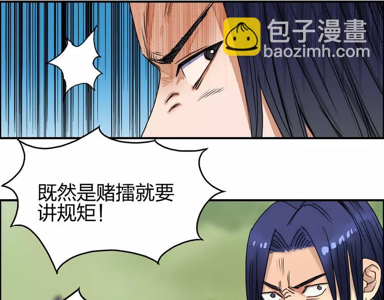 第66话 阵法宗师24