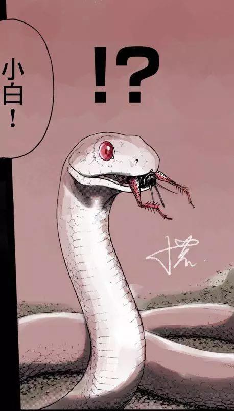 白蛇酒窖030