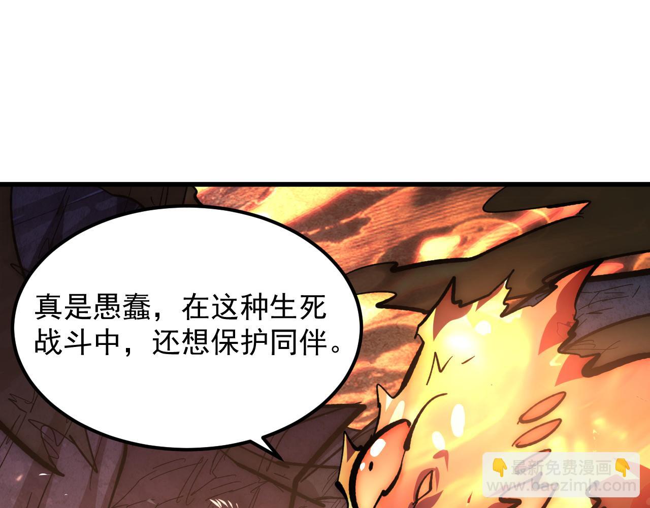 213 各自的底牌35
