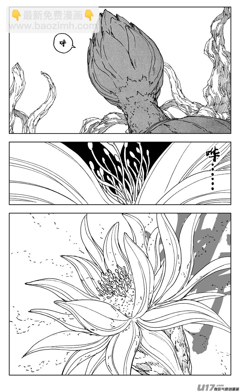 三五七 开花11