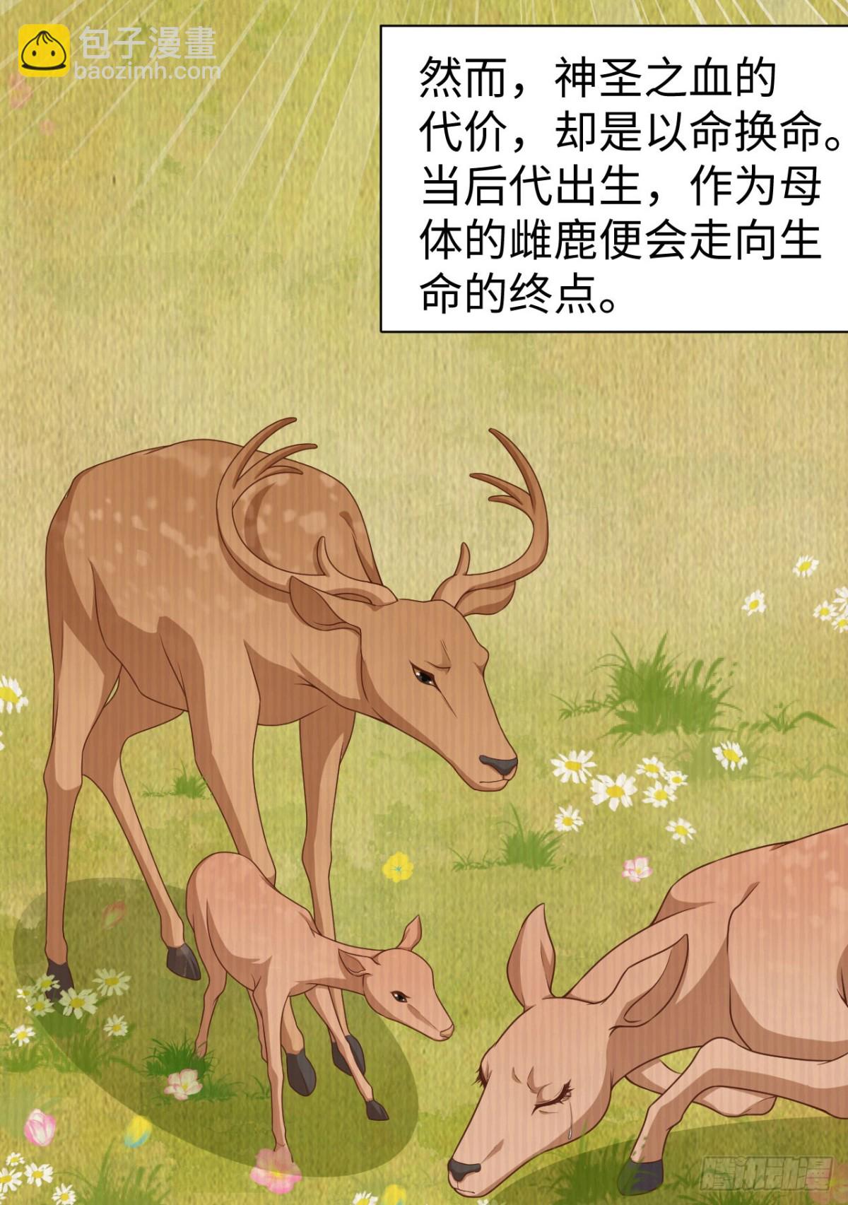 481 女将军与公主10