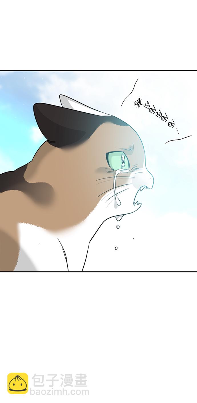 [第36话] 路易莎的秘密（2）55