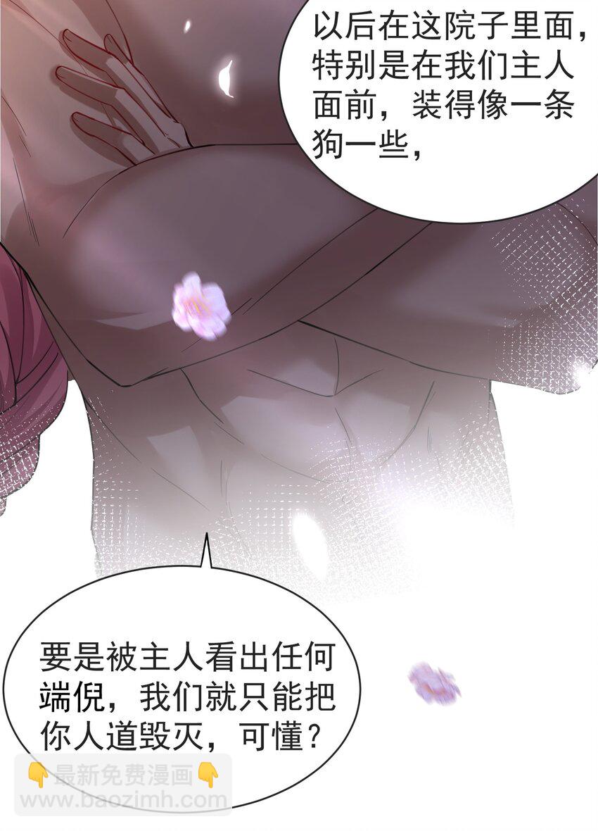 037 圣龙12