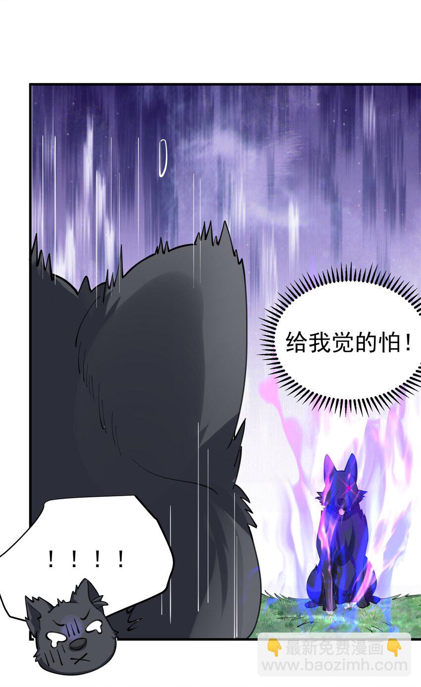062 被迫营业15