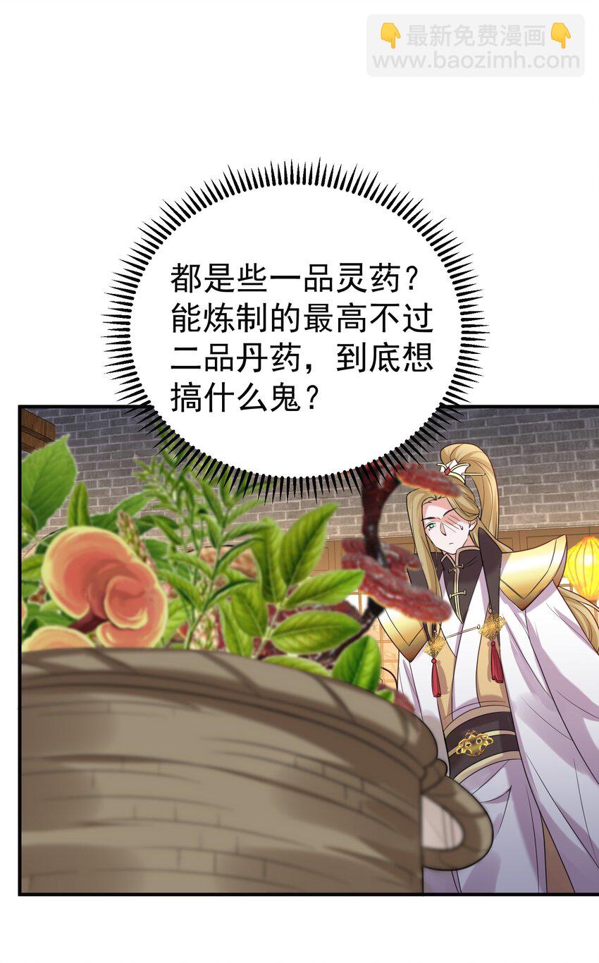 085 绝等药丹24