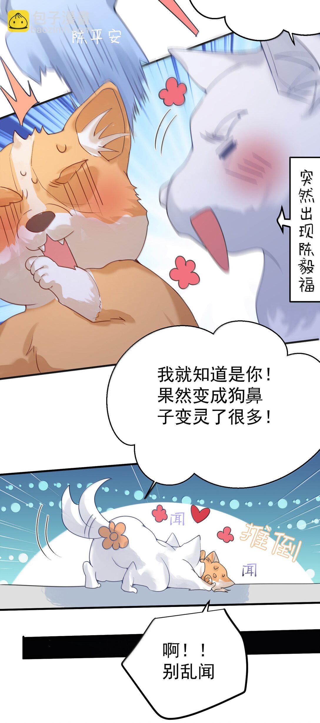 311 弥天纱幕37