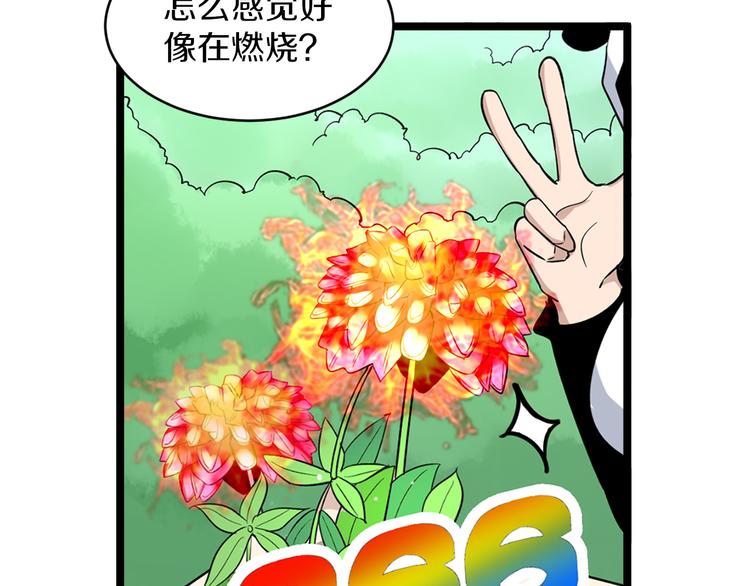 第151话 稀世灵花11