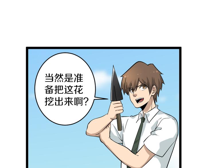 第151话 稀世灵花41
