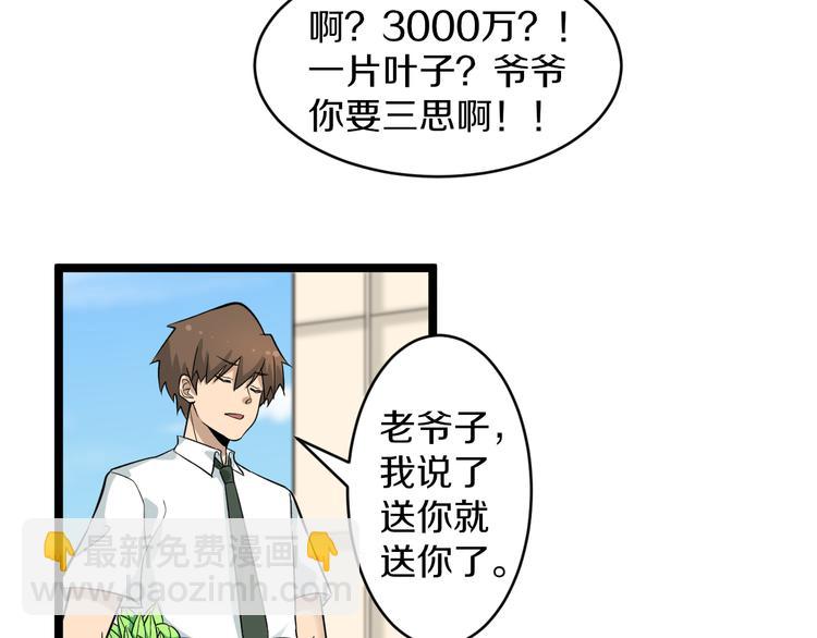 第152话 3000万的叶子21