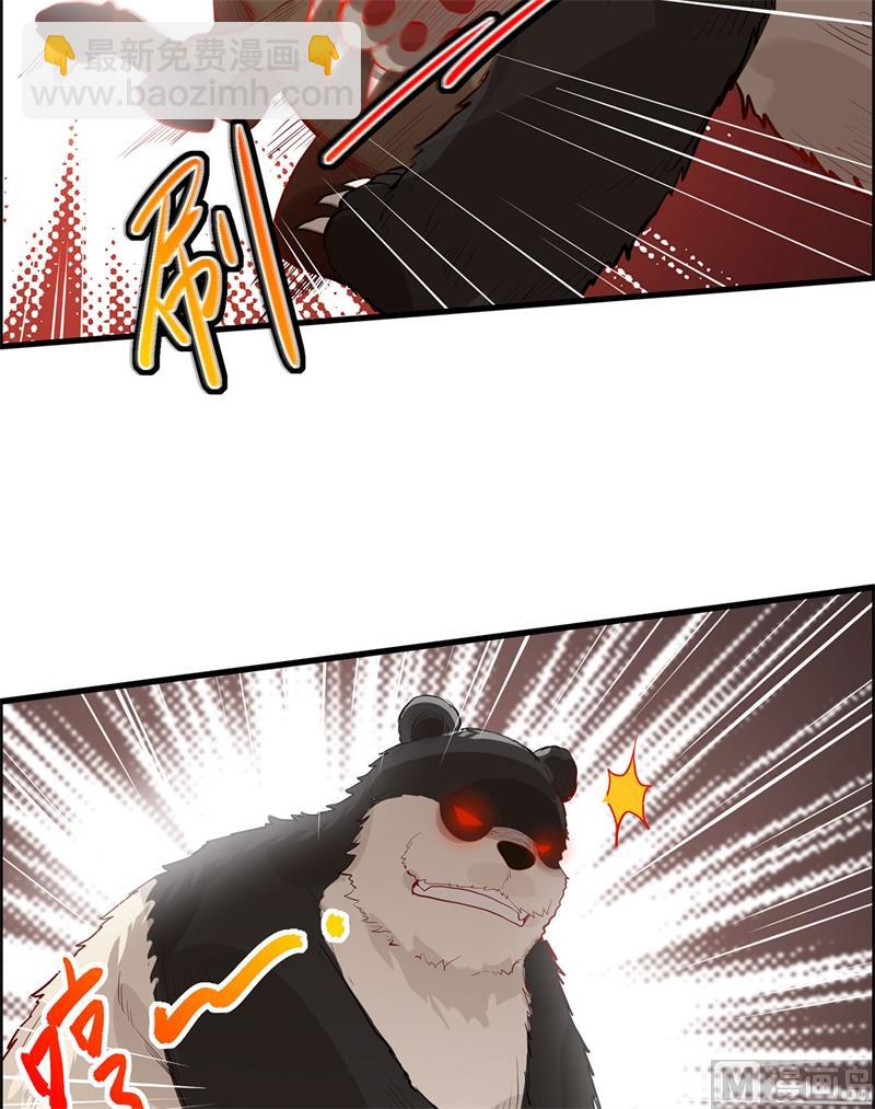 040 熊猪斗22