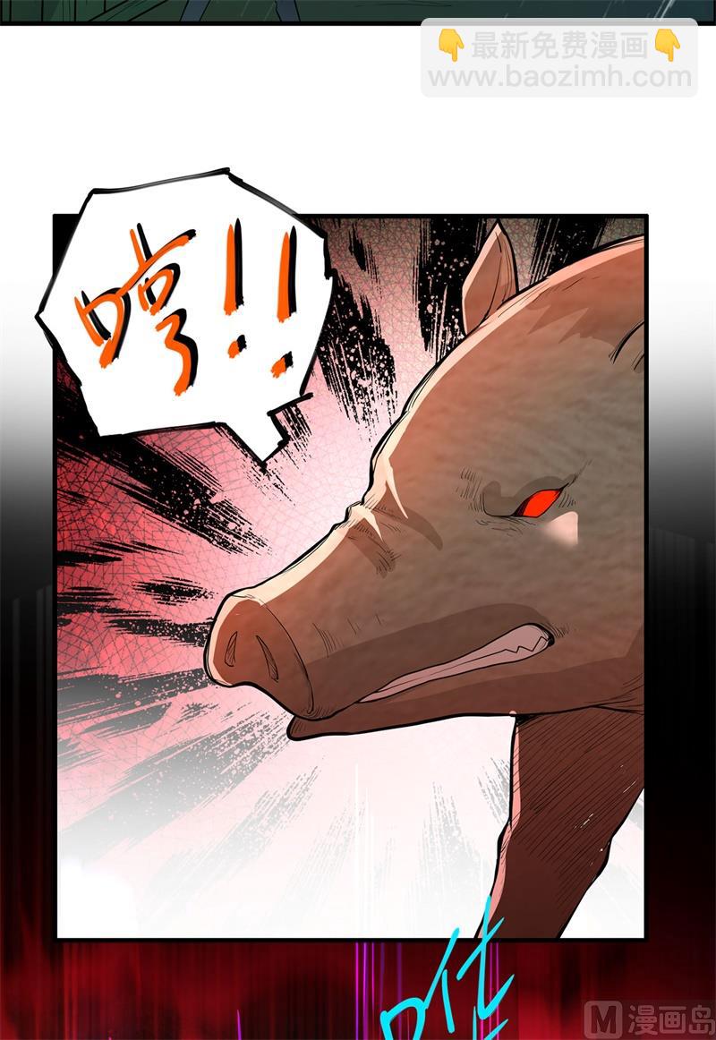 040 熊猪斗29