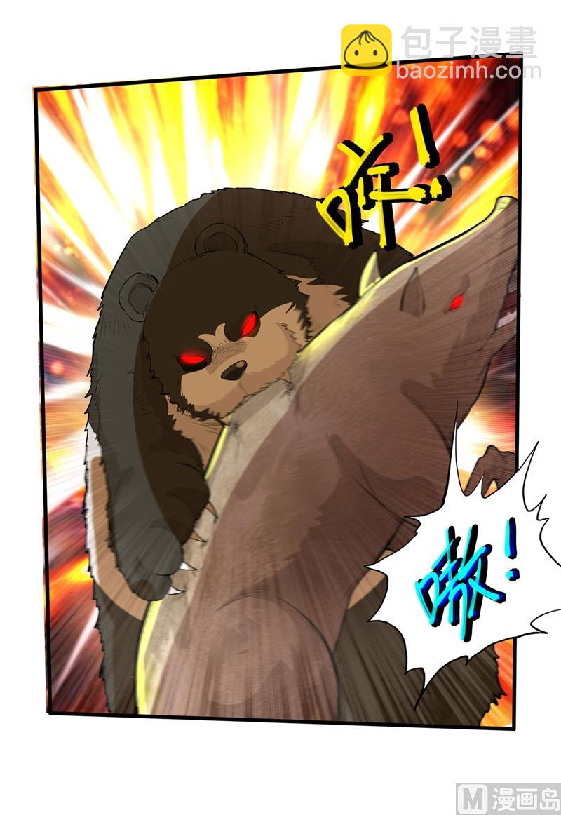 040 熊猪斗32