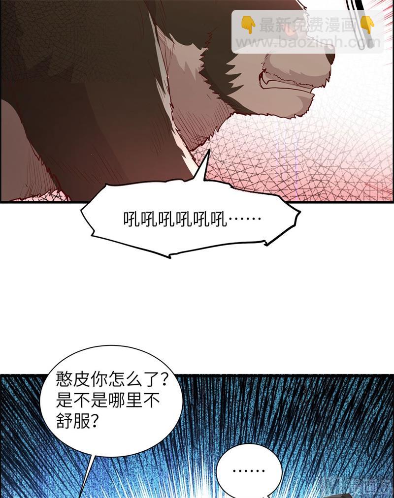 040 熊猪斗7