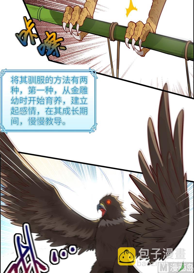 046 天降金雕43
