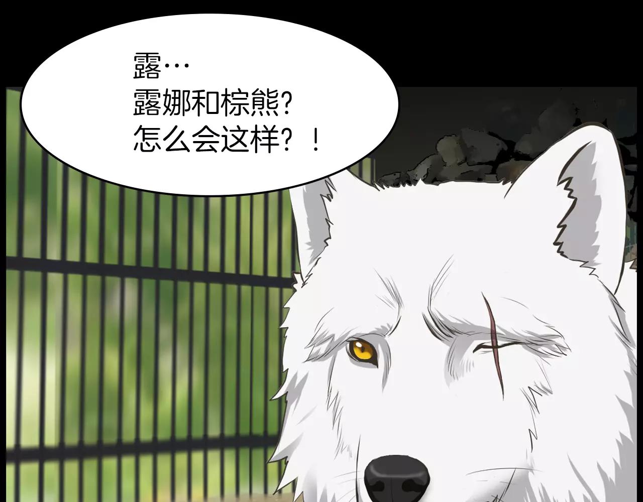 第12话 弱小的物种81