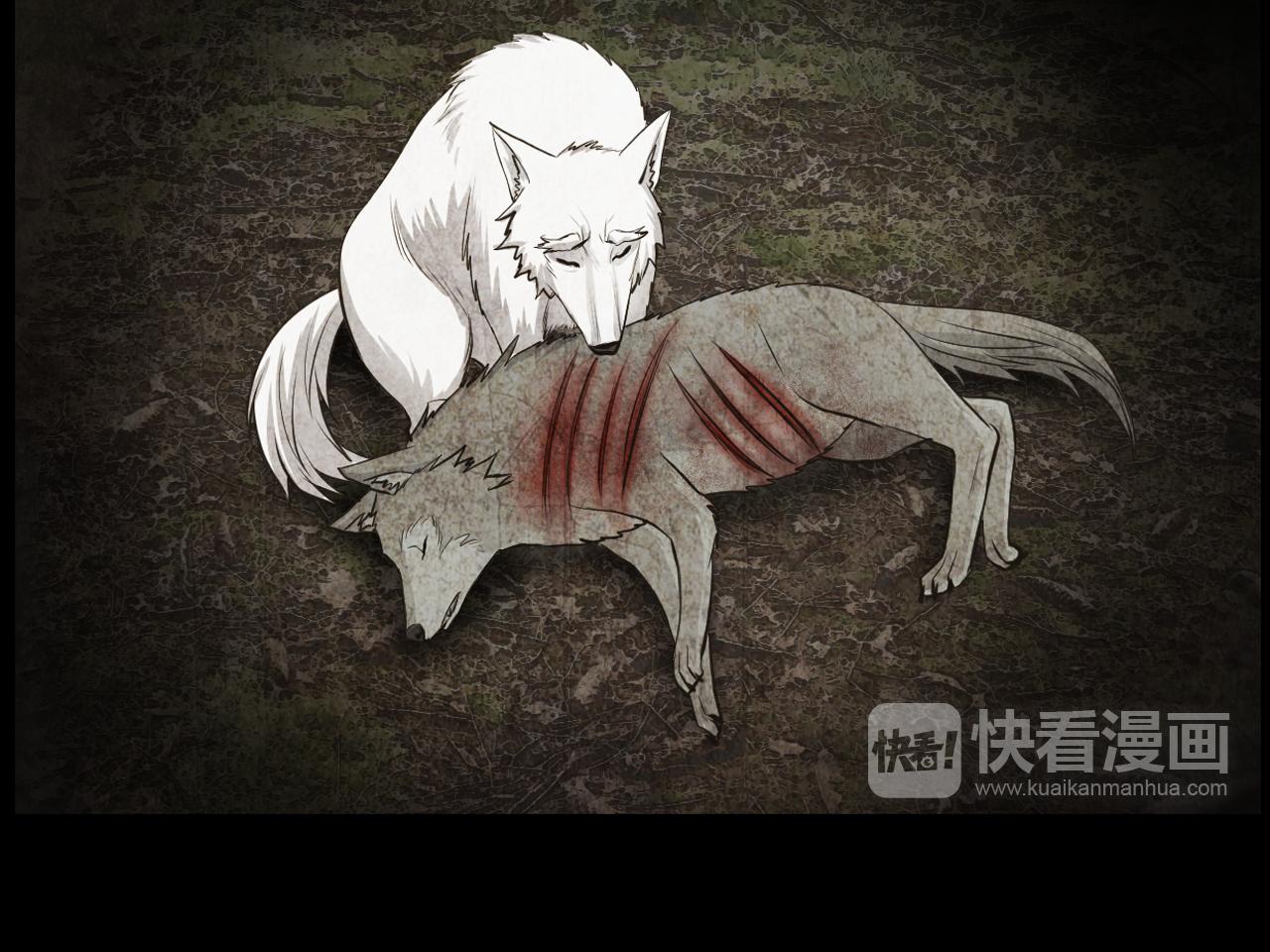 第13话 狼群的帮助74