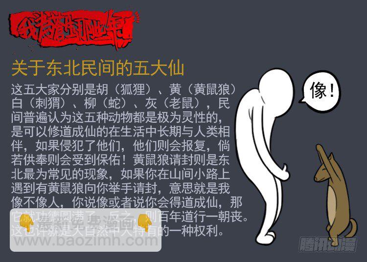 诡面妖根 1113