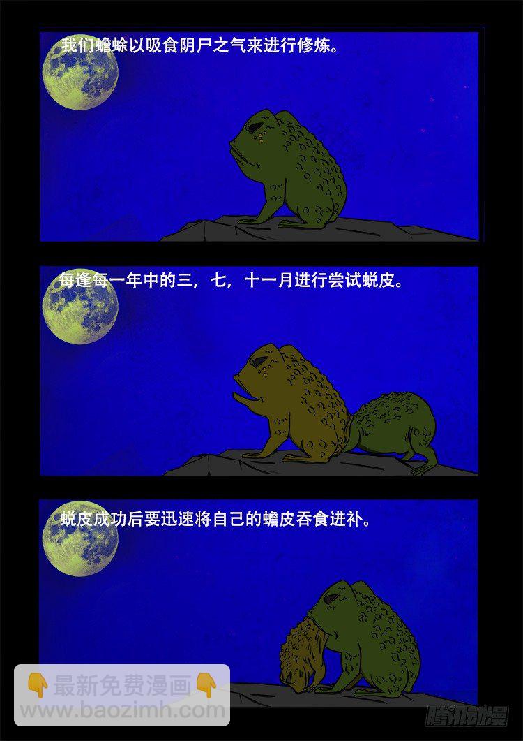 阴老爷 244