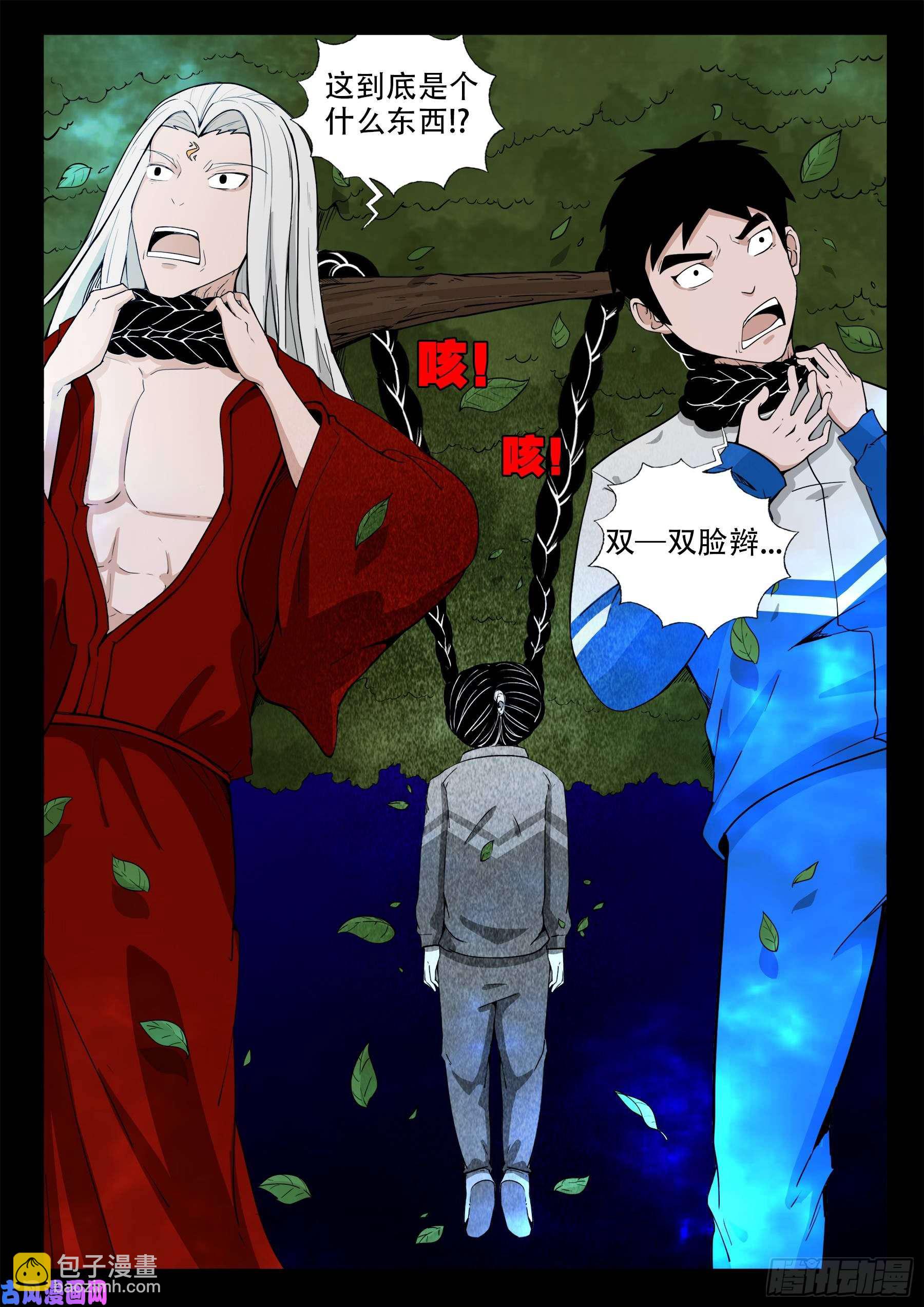 双脸辫 0114