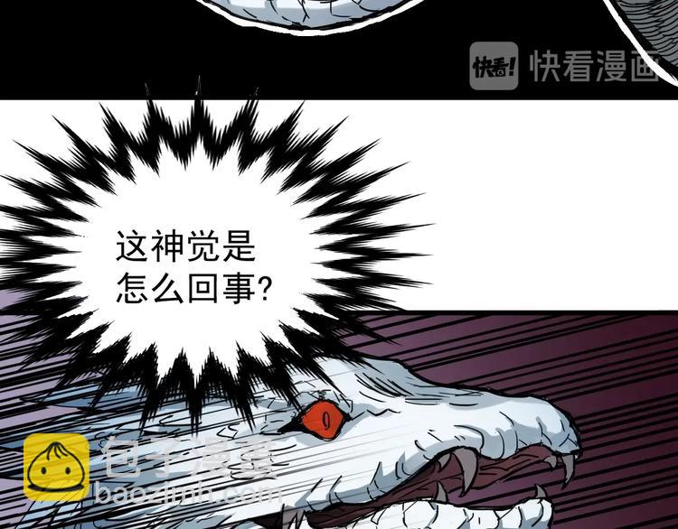 第43话 极限10