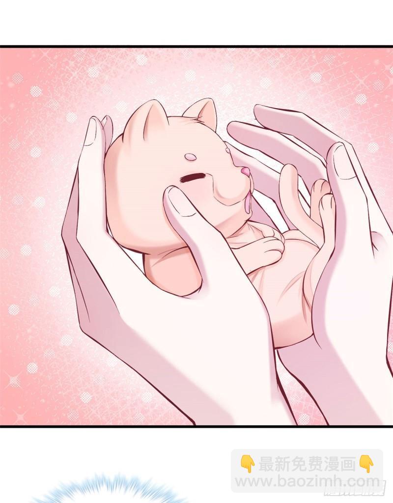 20421