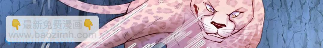 50590