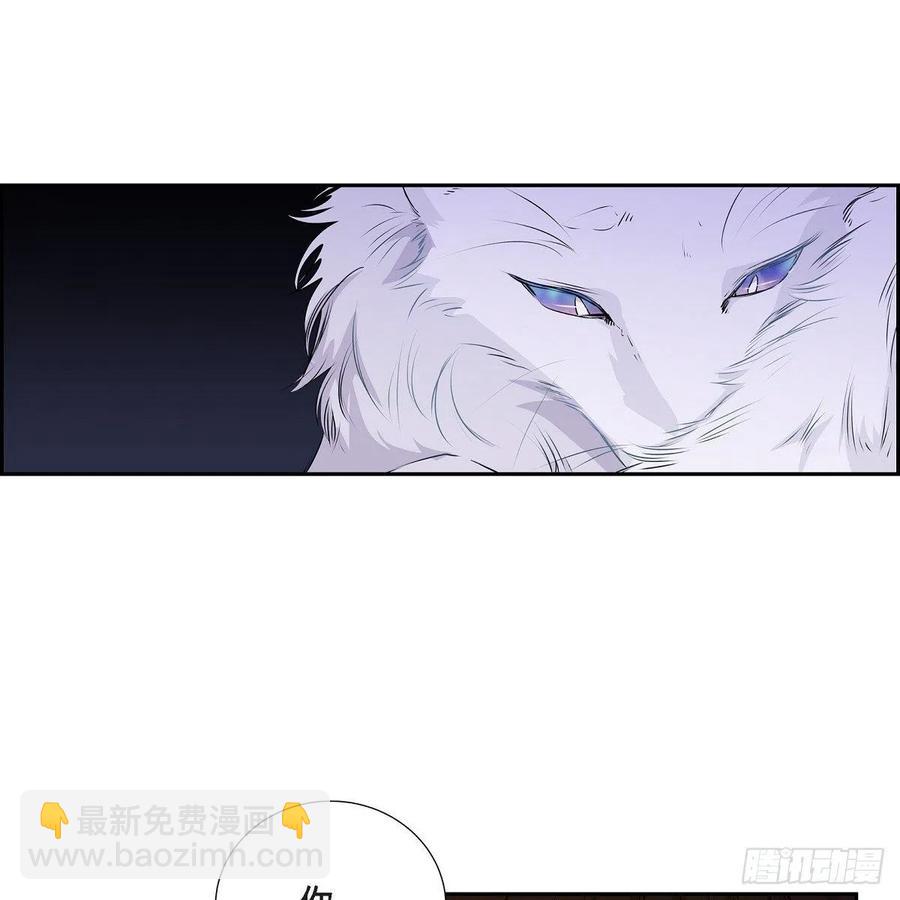 第41话 斐会和我在一起37