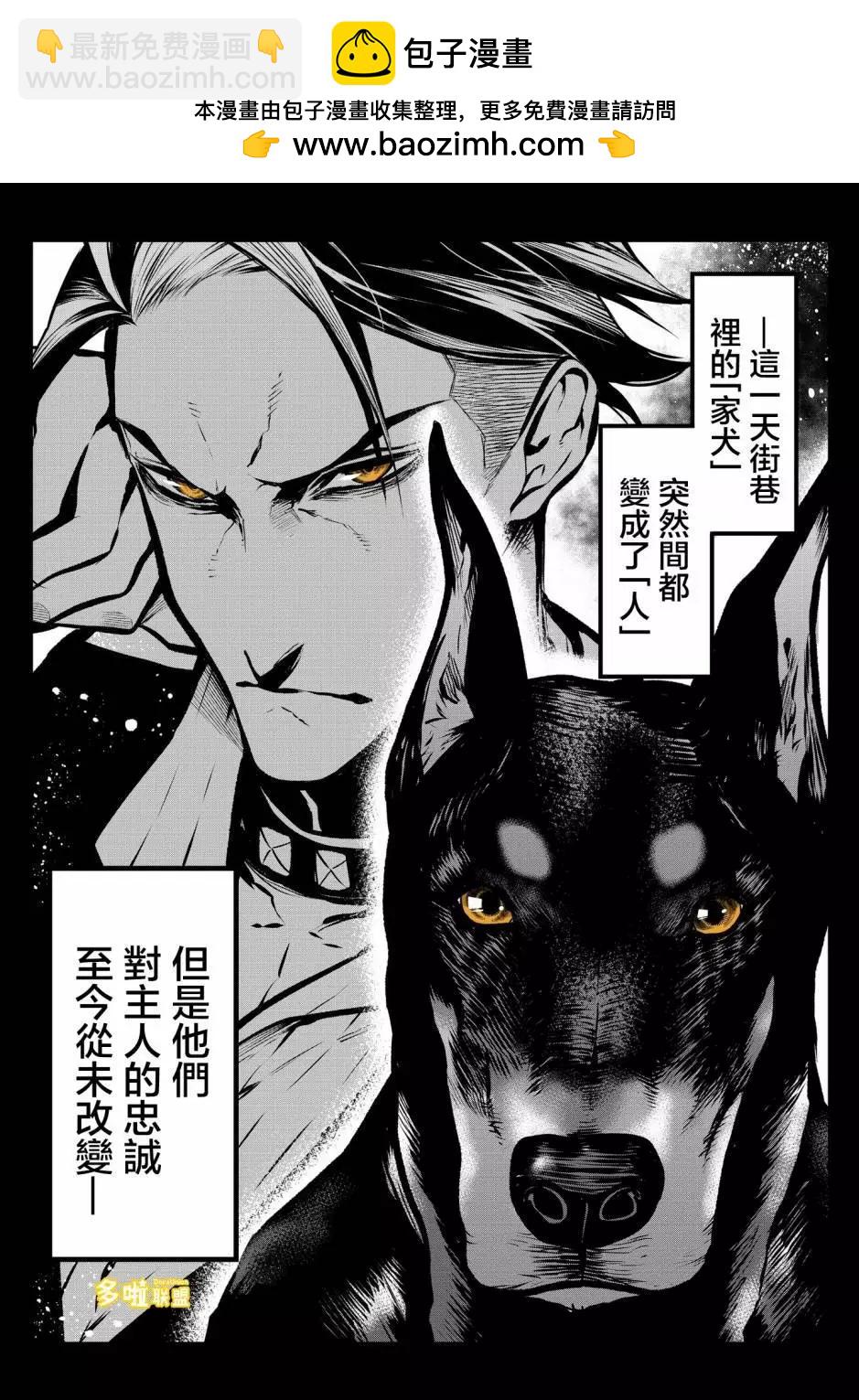 杜宾犬1