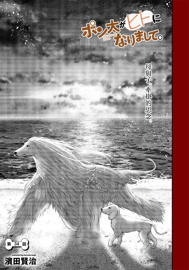 云雀的追忆后篇0