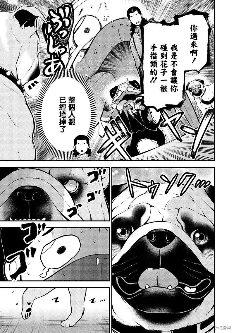 巴哥初恋篇10