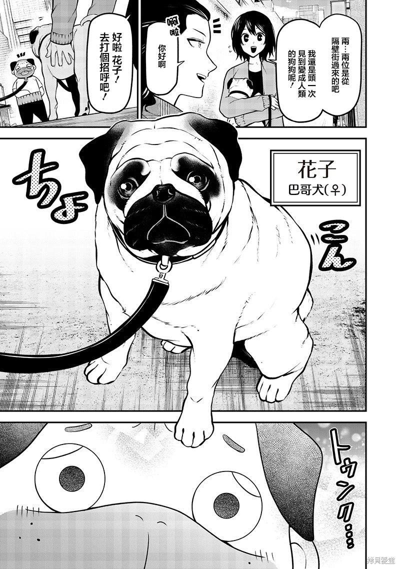 巴哥初恋篇2