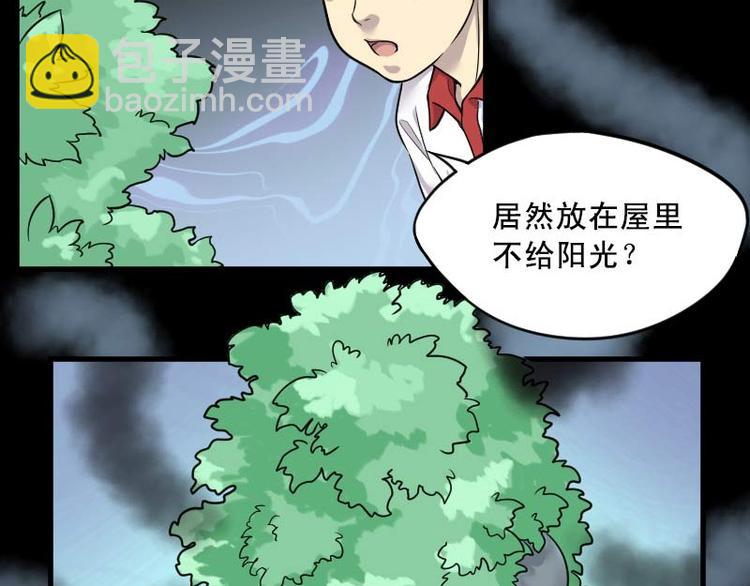 第11话 阴沉木 25