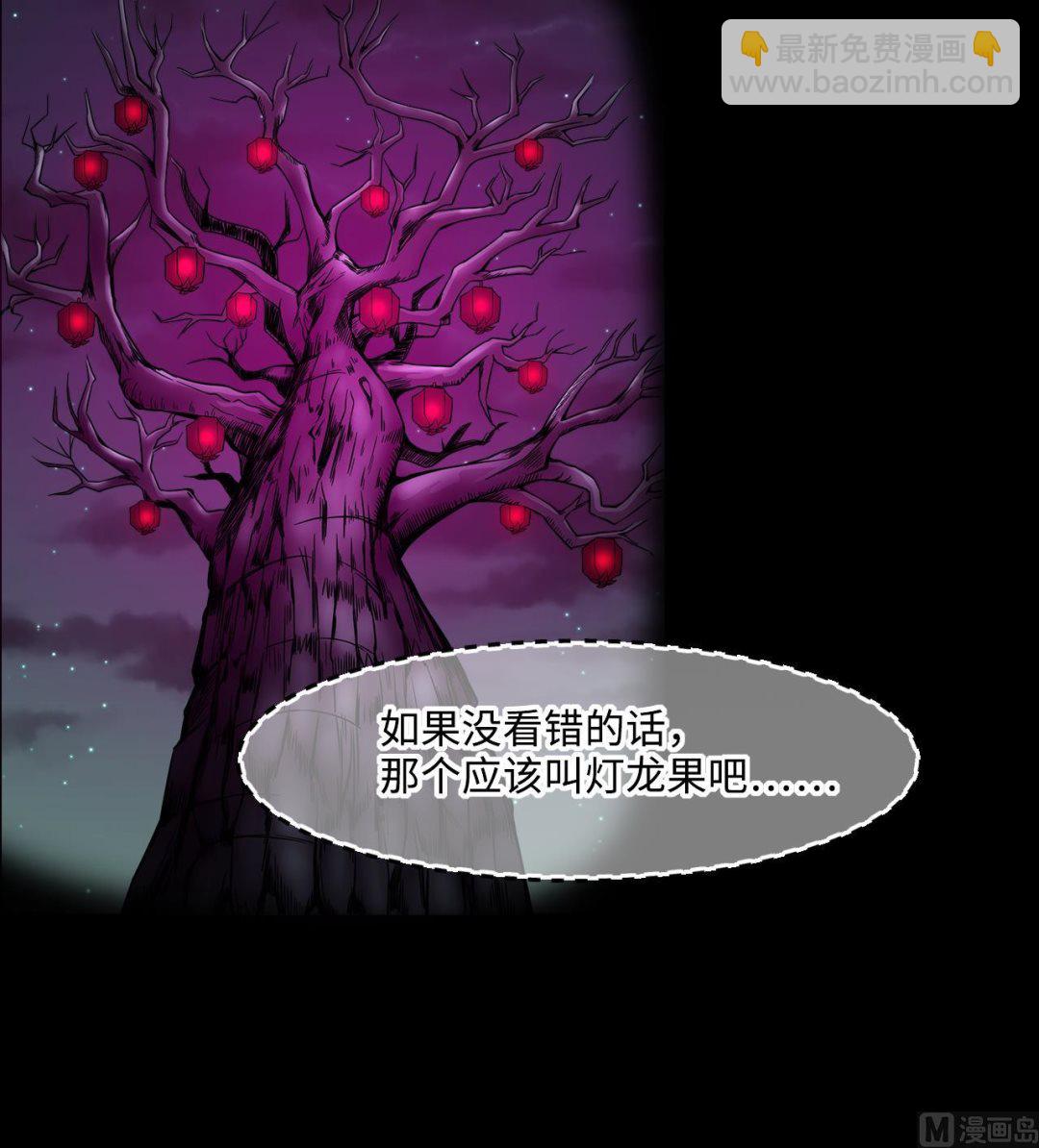 第388话 灯龙果 144
