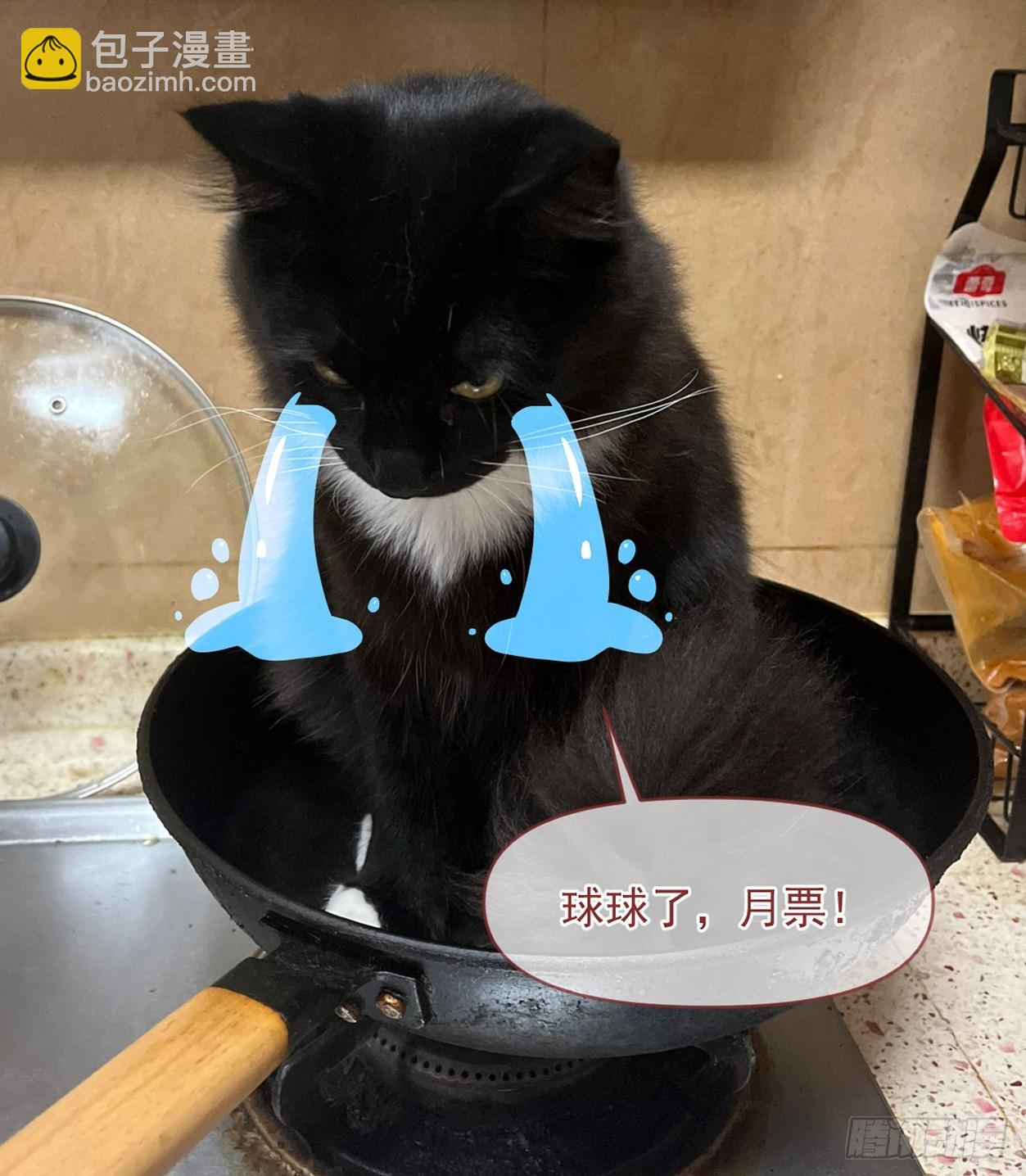 第309话 兽潮的弱点63