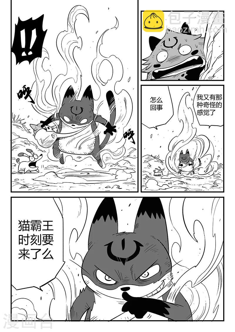 第224话 猫霸王时刻3