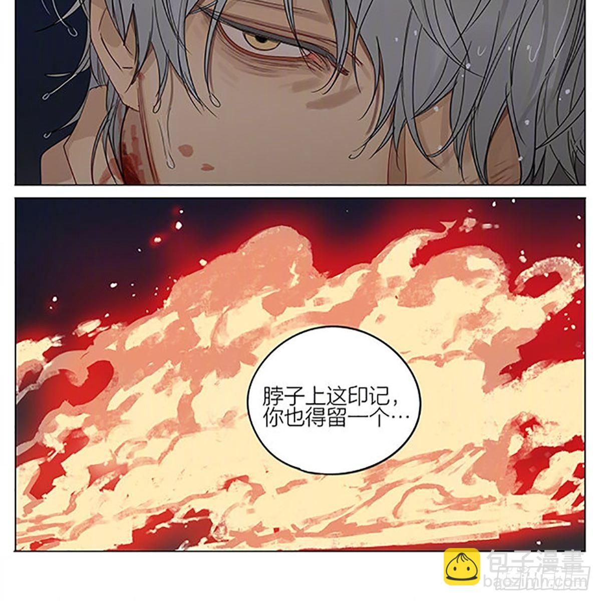 同类6