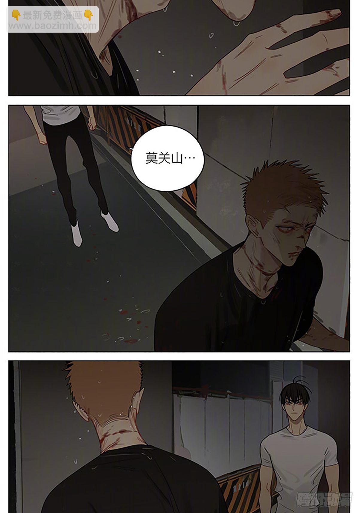 同类9