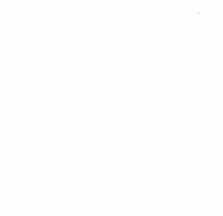 8067