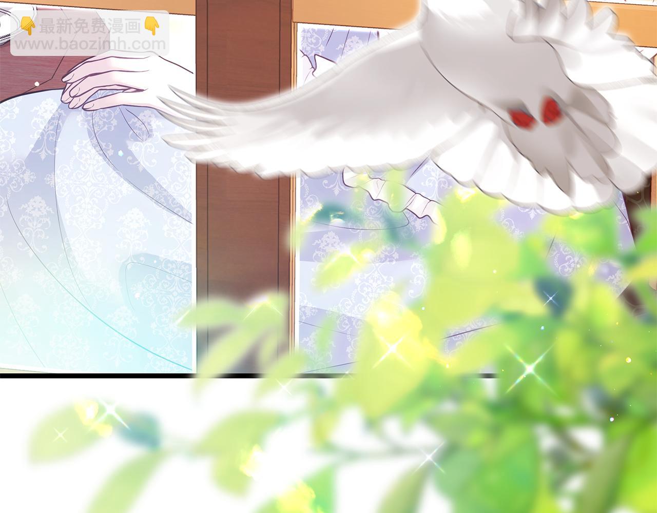 第3话 狗狗晕倒了？306