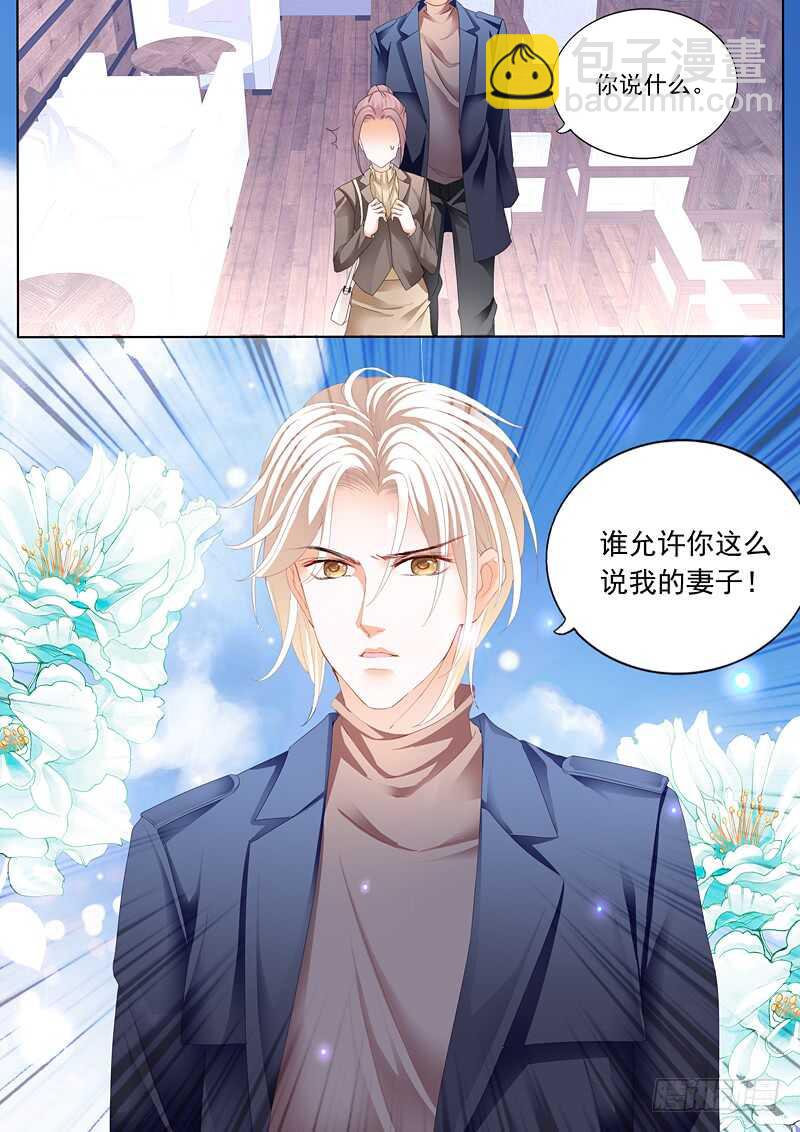 谁也不准欺负我的妻子12