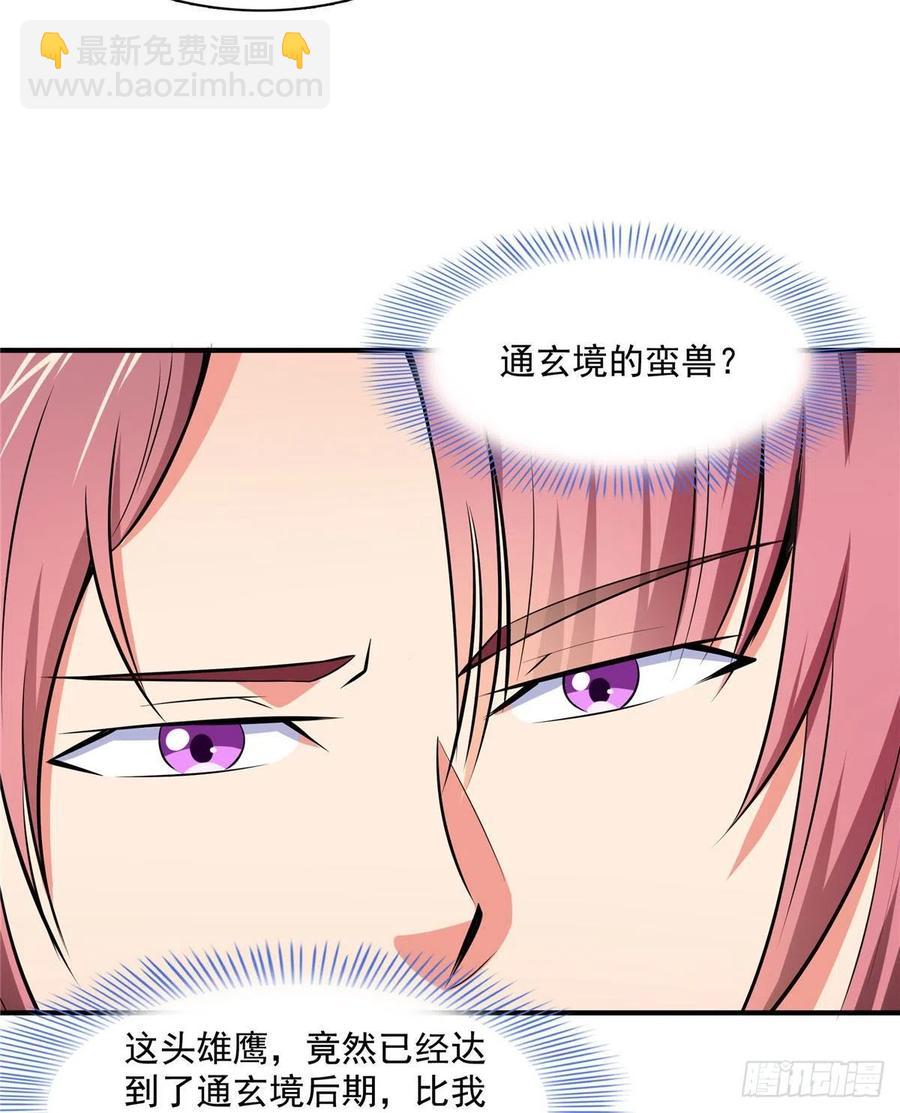 141 我驯了个鸟11
