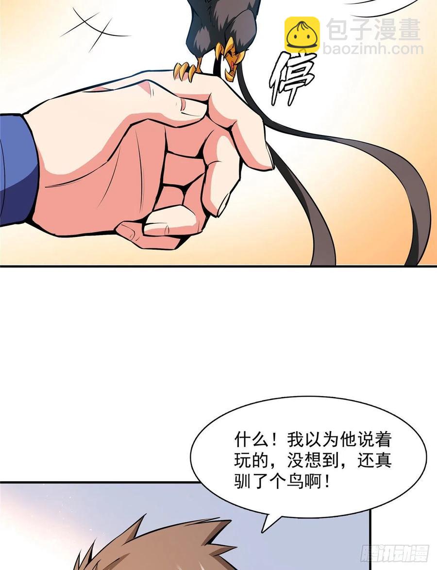 141 我驯了个鸟46