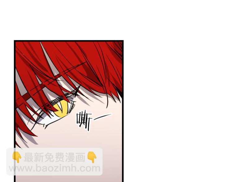 第20话 新婚之夜19