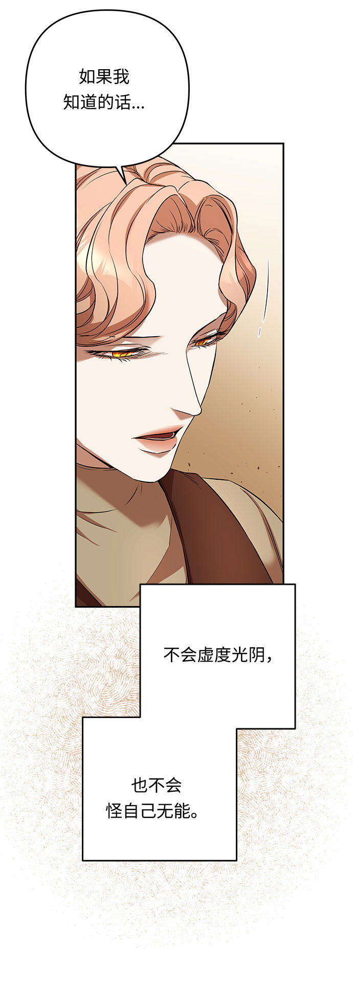 第43话 王妃的剑（6）12