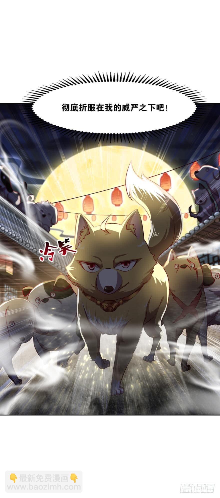 狗仙降世10