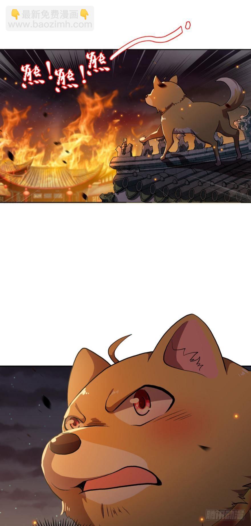 天崩4