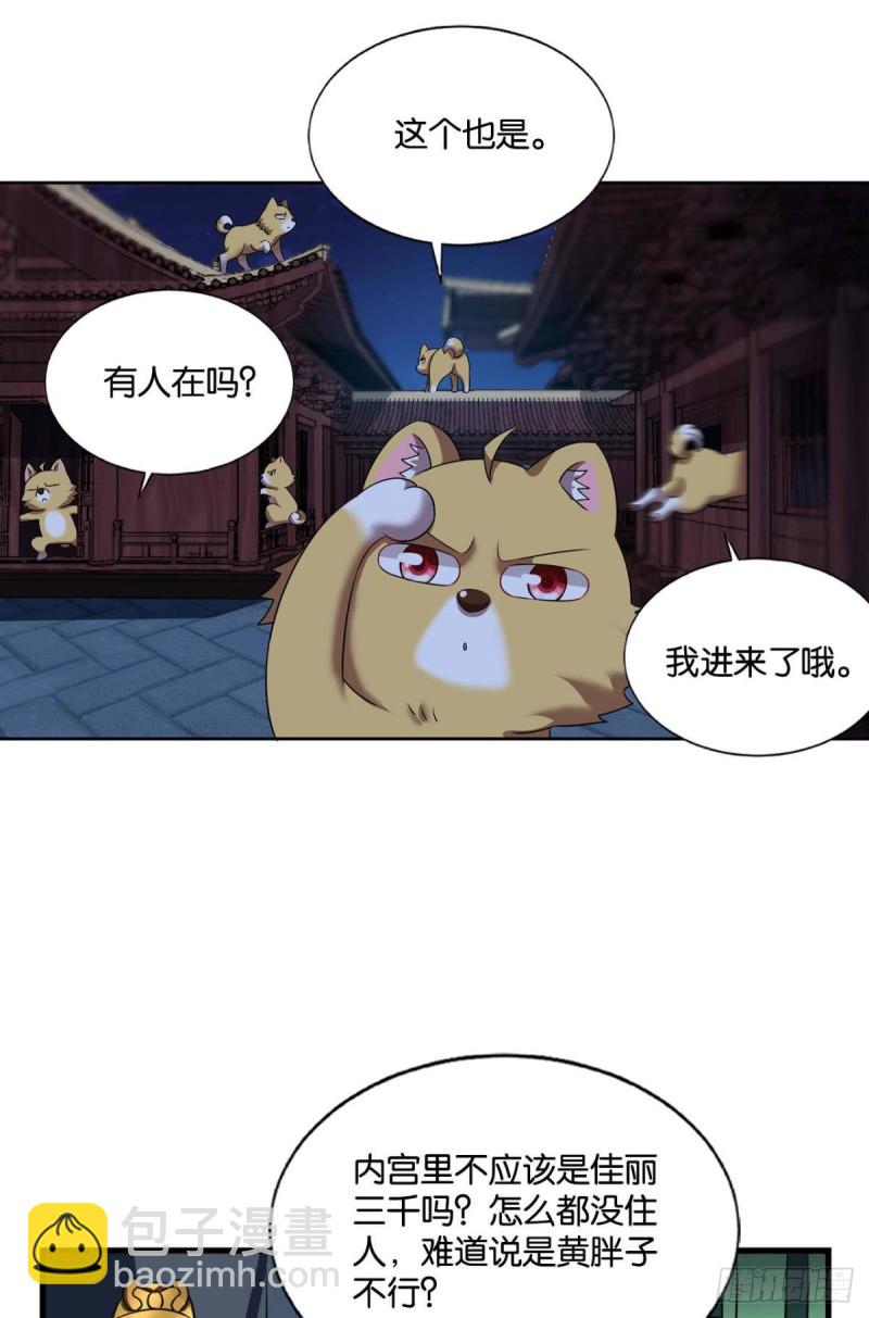 贼不走空9
