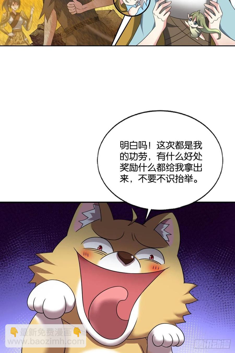 帷幕渐开17