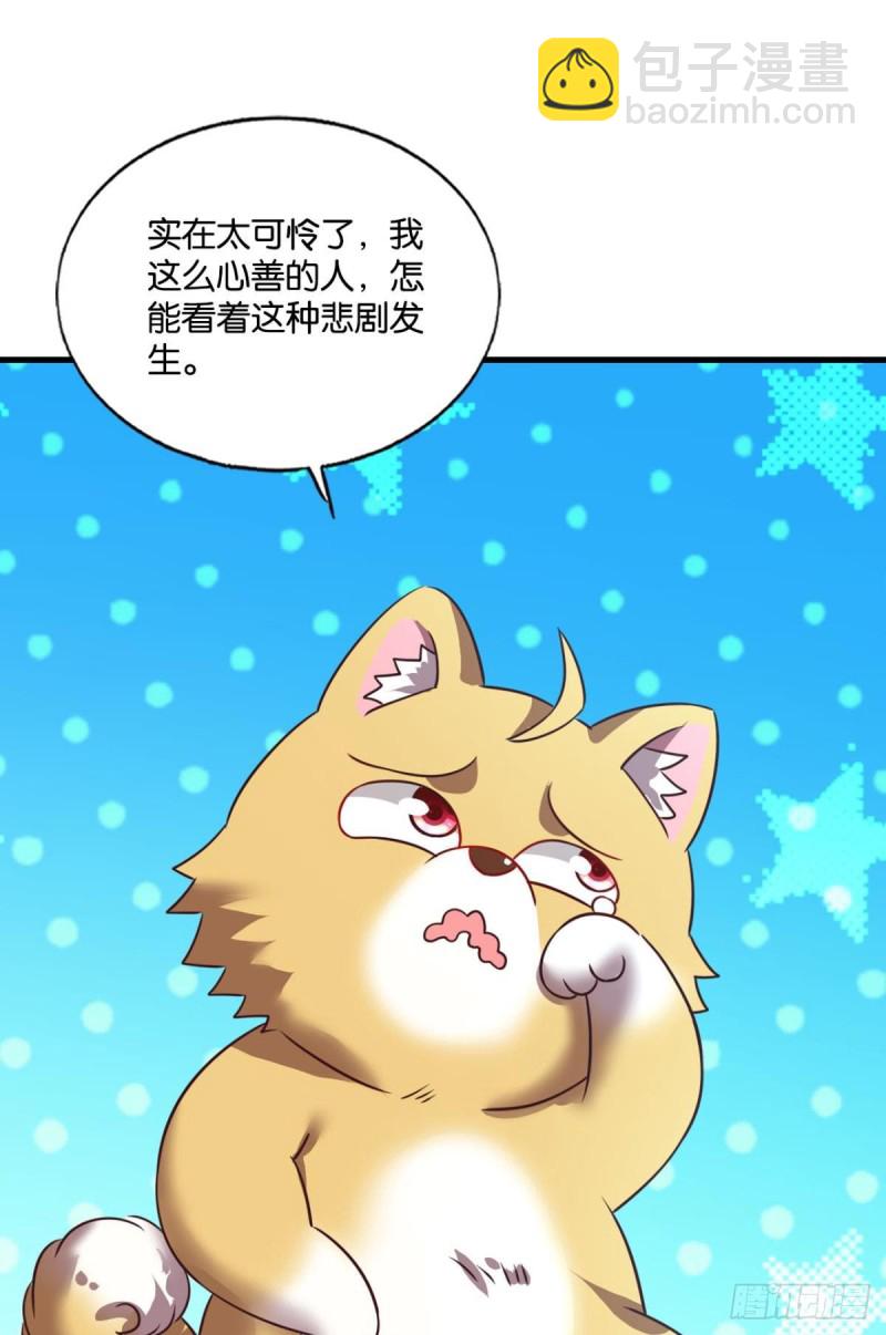双赢方案15